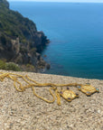Chelone | Χελώνη