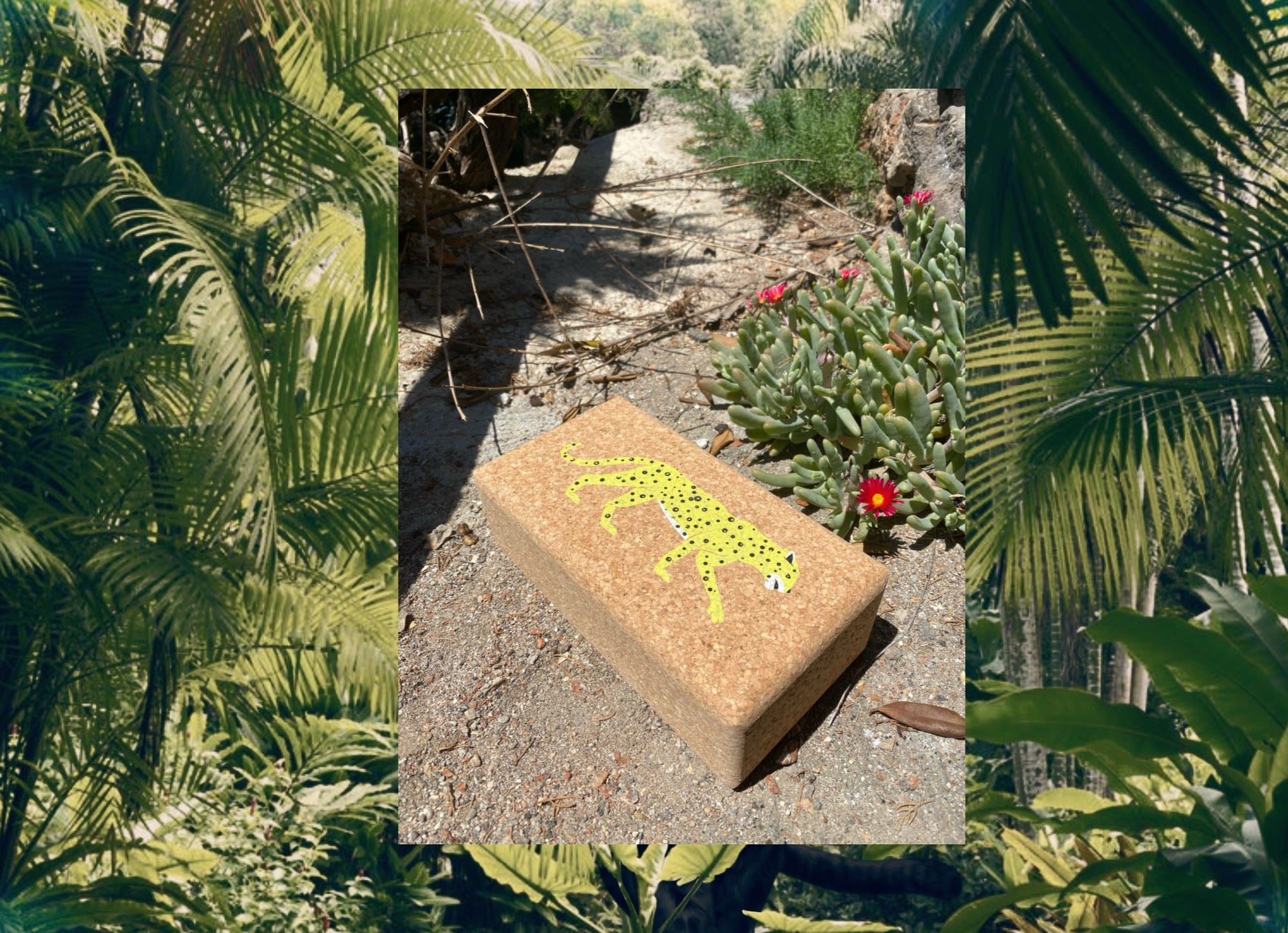 THE JUNGLE EDITION