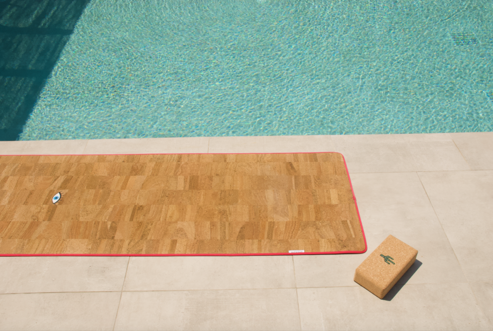 Cork Yoga-Block Cactus