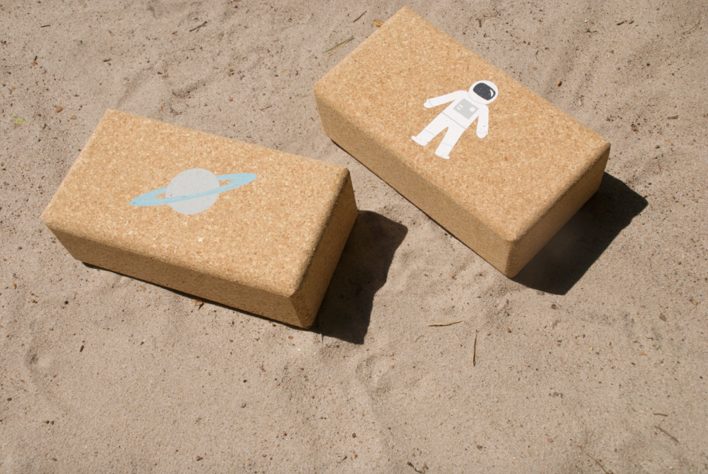 THE BLOCKS: Pair ASTRONAUT